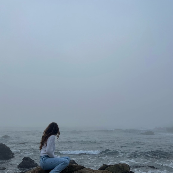 Meet your Posher, Cassidy - Picture 1 of 1